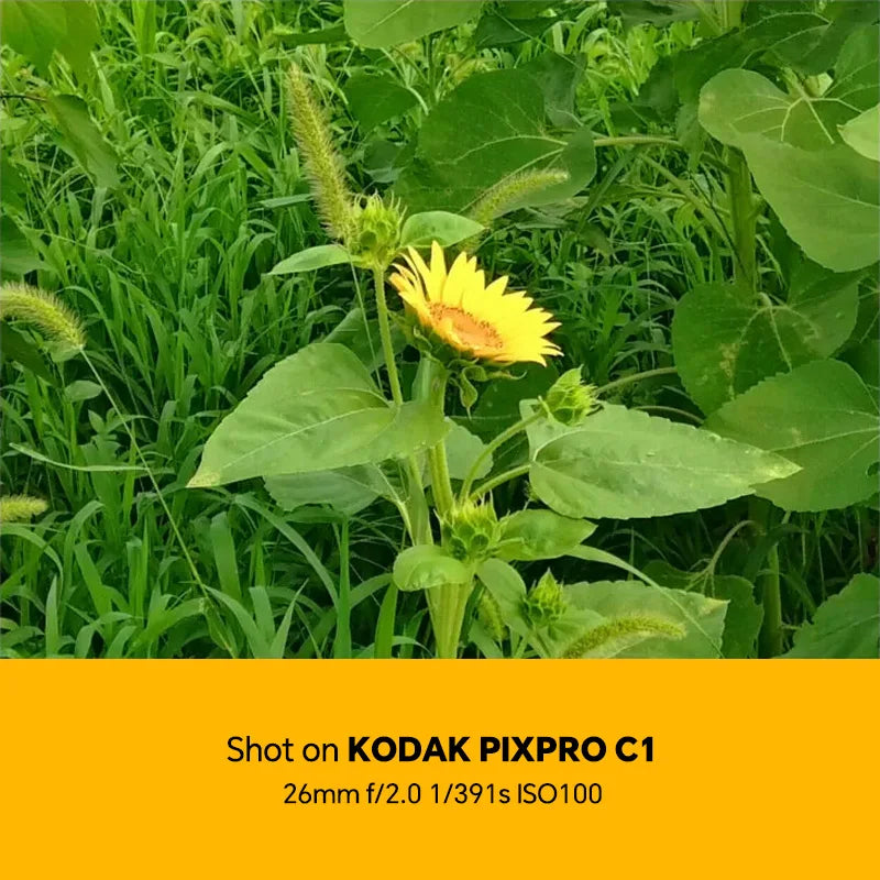 100% Original KODAK PIXPRO C1 Digital Camera